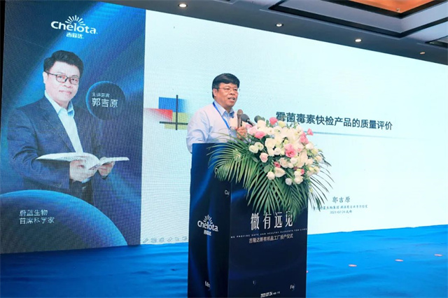 �������Ӽ�Ż����