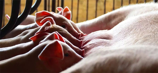 ���ӹ�����ҳ�������п��Ӧ��