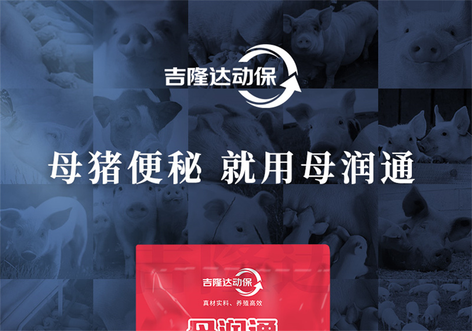 ���ӹ�����ҳ�������������Ӽ�ĸ��ͨ��Ʒ����