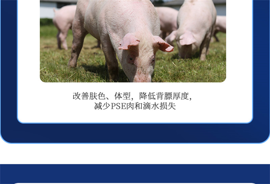 ���ӹ�����ҳ�������������Ӽ�ĸ��ͨ��Ʒ����