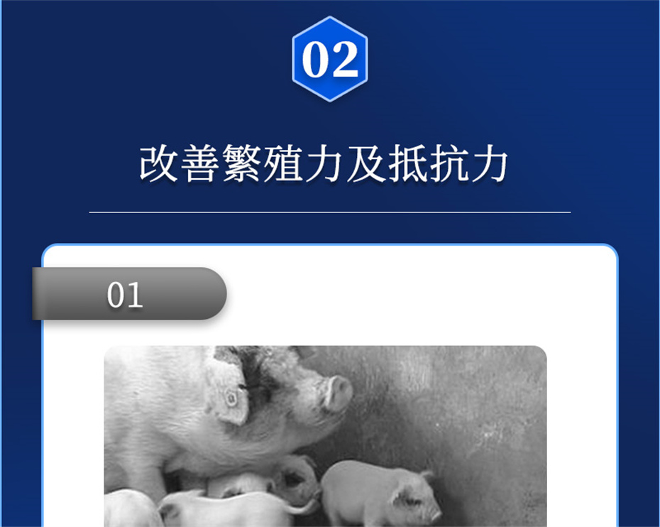 ���ӹ�����ҳ�������������Ӽ���ֳ����Ʒ����