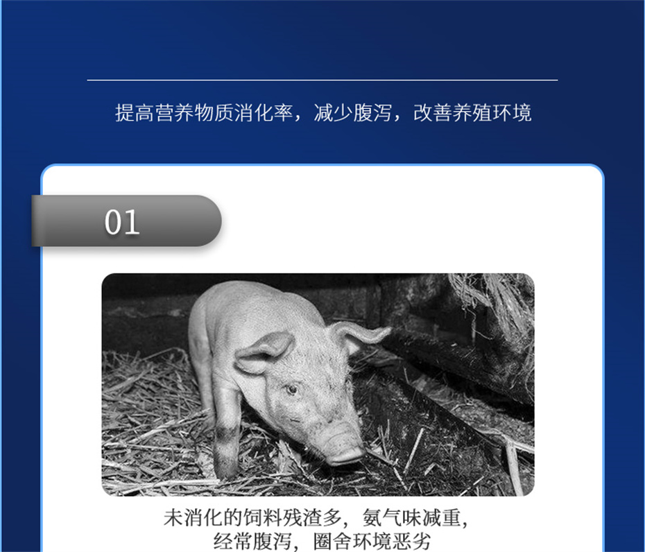 ���ӹ�����ҳ�������������Ӽ���������Ʒ����