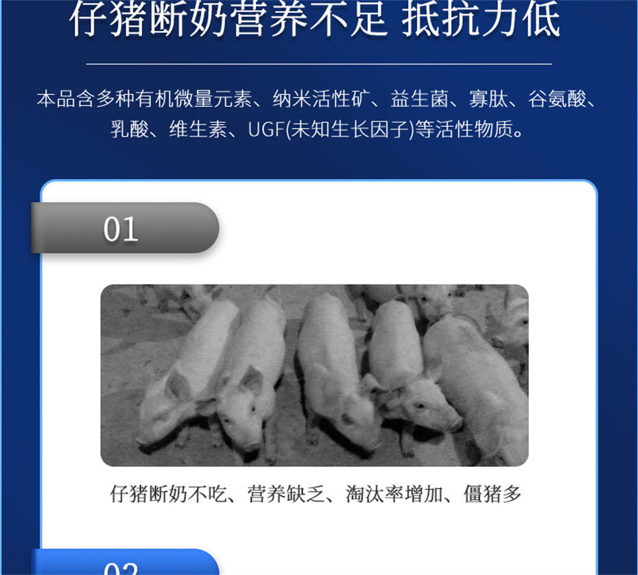 ���ӹ�����ҳ�������������Ӽ�������������Ʒ����