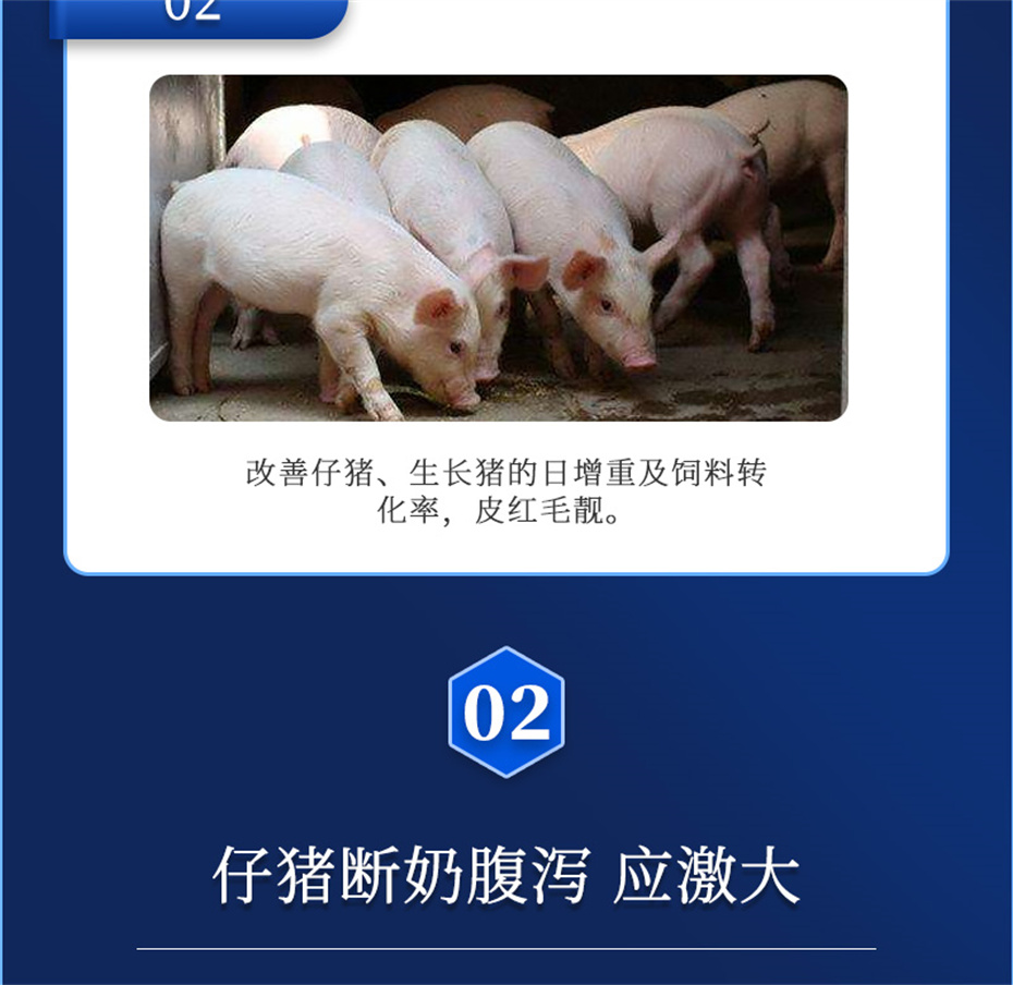 ���ӹ�����ҳ�������������Ӽ�������������Ʒ����