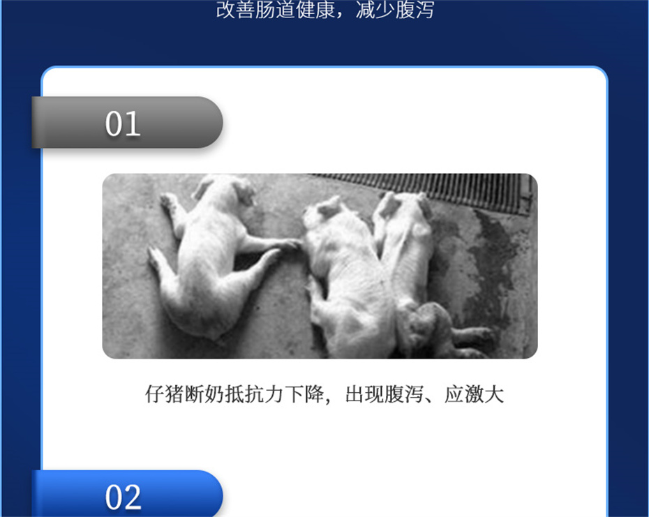 ���ӹ�����ҳ�������������Ӽ�������������Ʒ����