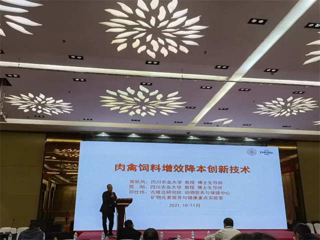 ������̳�ֳ���Ƭ