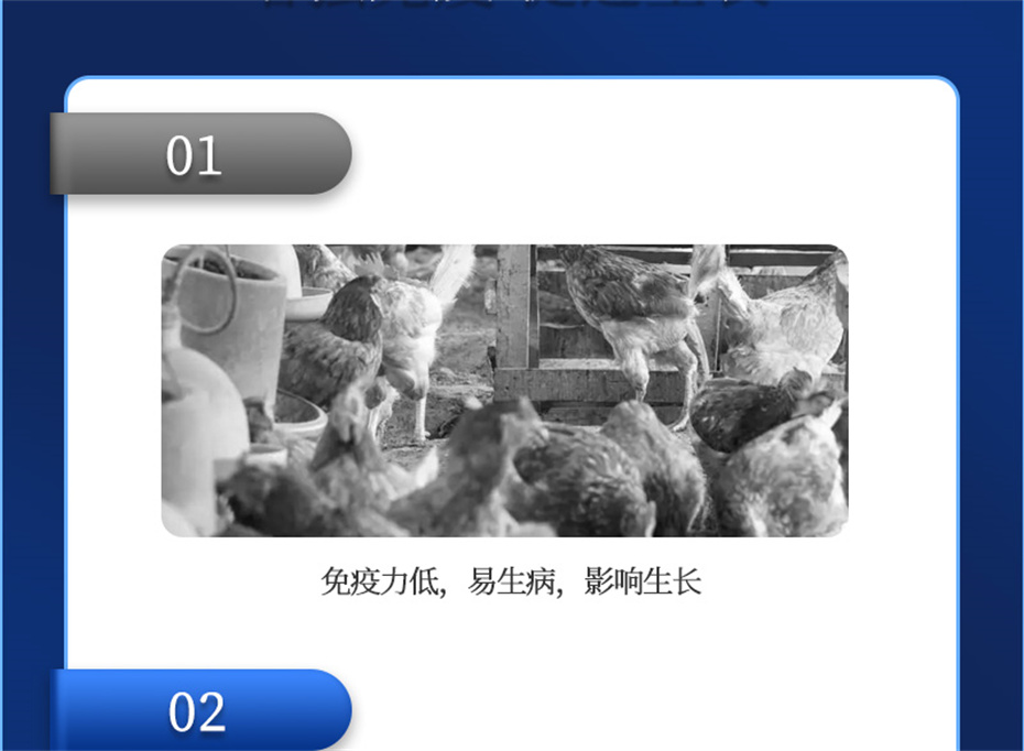 ���ӹ�����ҳ�������������Ӽ�����Ѫ�ݲ�Ʒ����