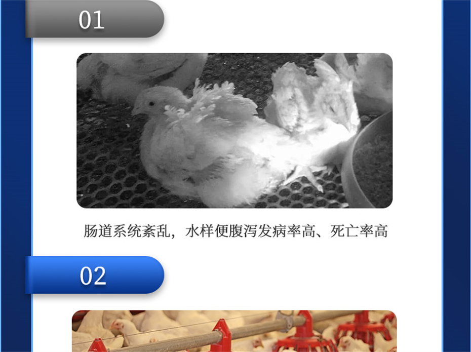 ���ӹ�����ҳ�������������Ӽ����ﱦ��Ʒ����