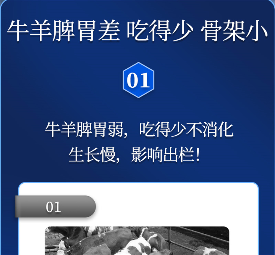 ���ӹ�����ҳ����ţ���������Ӽ�ţ��Ԫ˧��Ʒ����