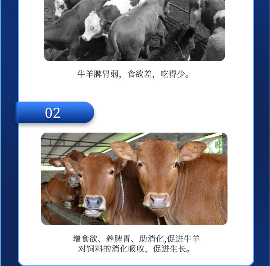 ���ӹ�����ҳ����ţ���������Ӽ�ţ��Ԫ˧��Ʒ����