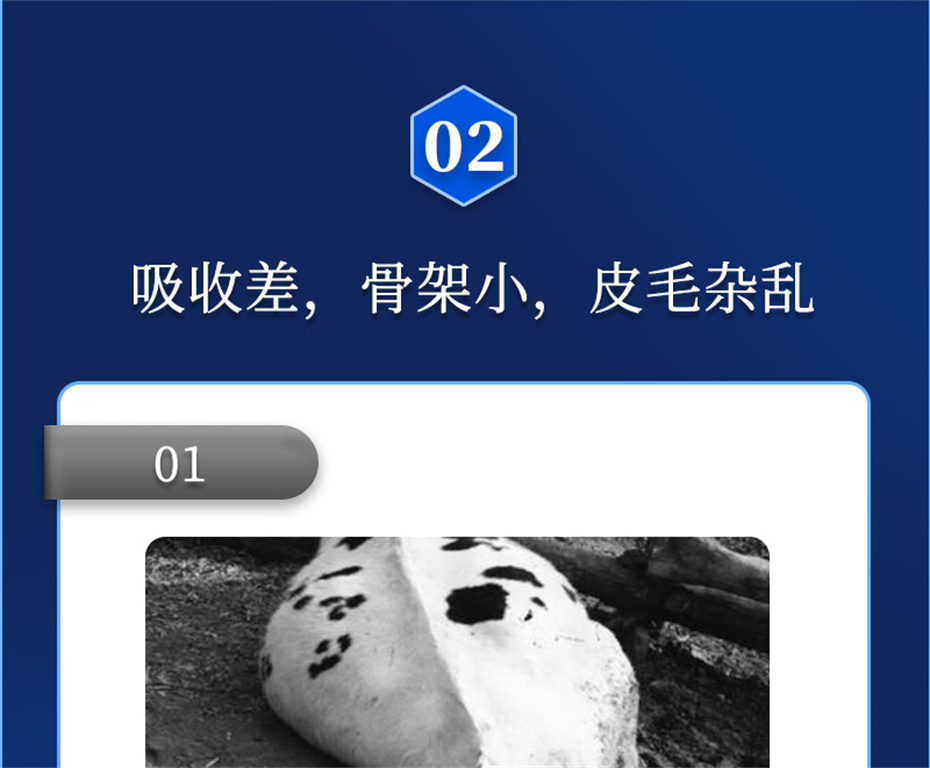 ���ӹ�����ҳ����ţ���������Ӽ�ţ��Ԫ˧��Ʒ����