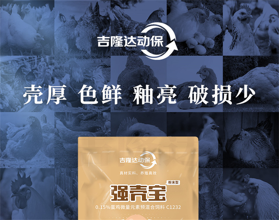 ���ӹ�����ҳ�������������Ӽ�ǿ�Ǳ���Ʒ����