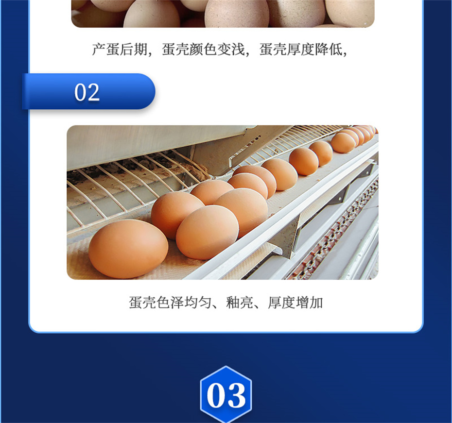 ���ӹ�����ҳ�������������Ӽ�ǿ�Ǳ���Ʒ����