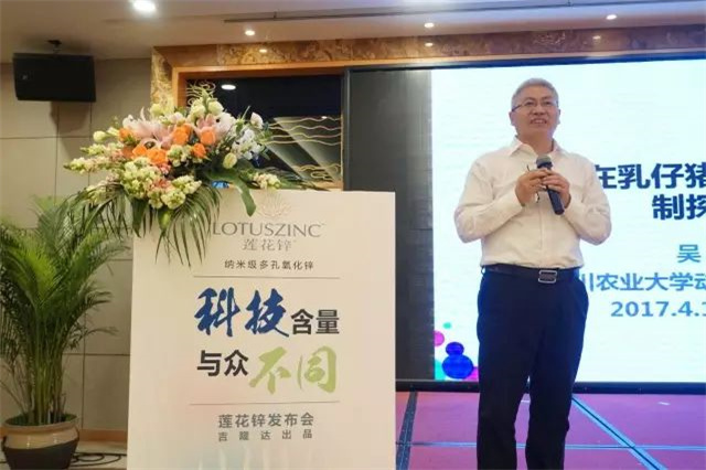 ���ӹ�����ҳ����п�������ֳ��ݽ�