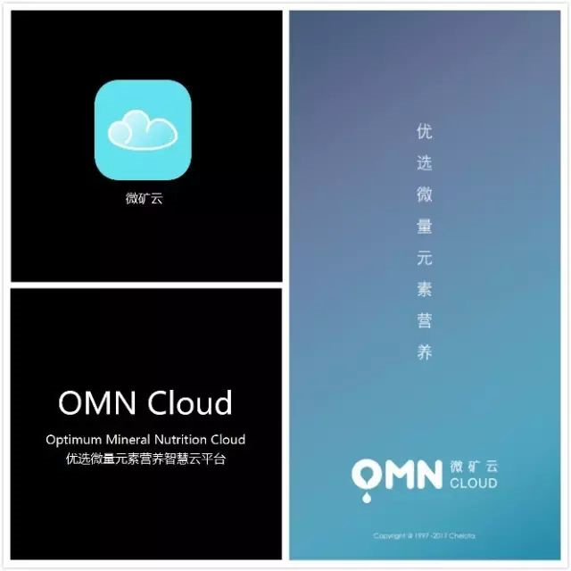 ���ӹ�����ҳ΢����