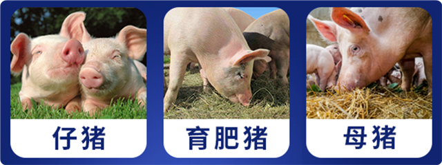 ���ӹ�����ҳ���������Ӽ�