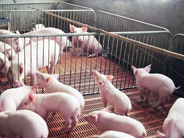 ����ע����Щ����