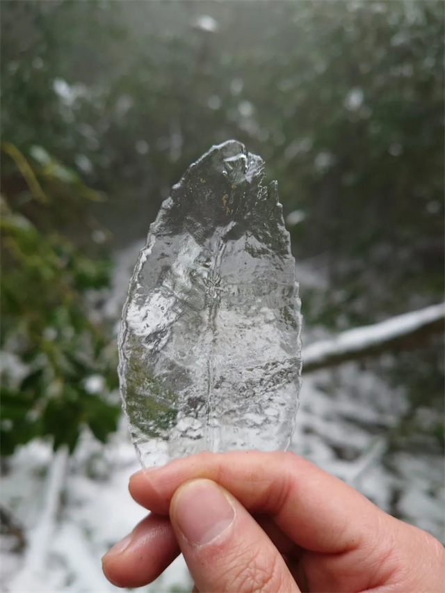 ���ӹ�����ҳ��Ӱ������Ʒ����Ҷ��