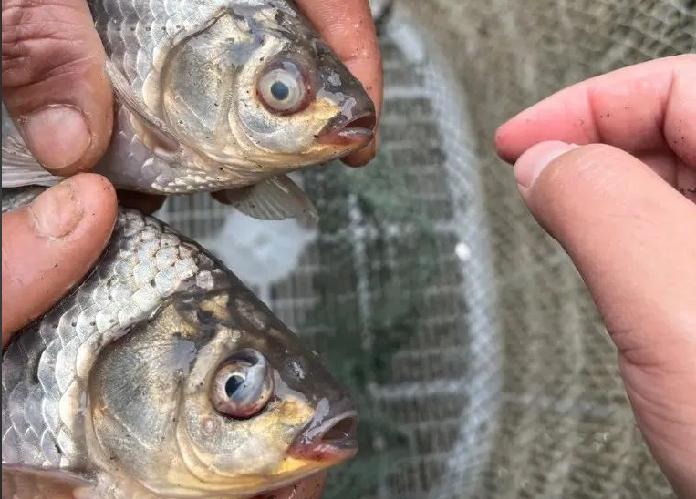 Խ������ο��ٸ�����Ϻ����������