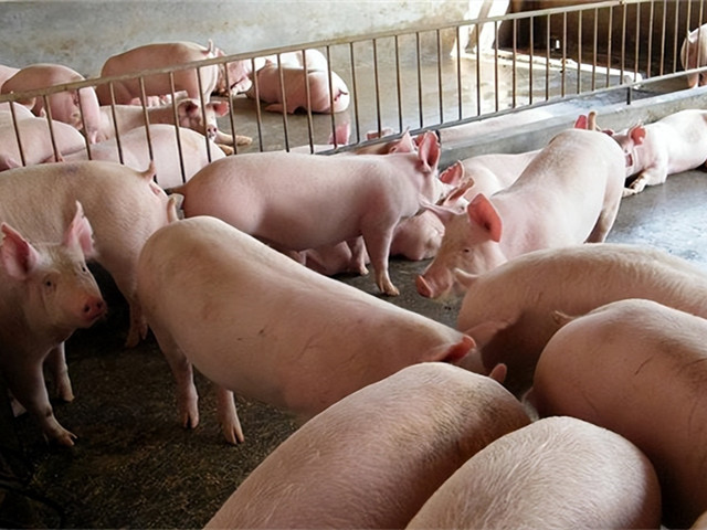 2022��ǰ����������������