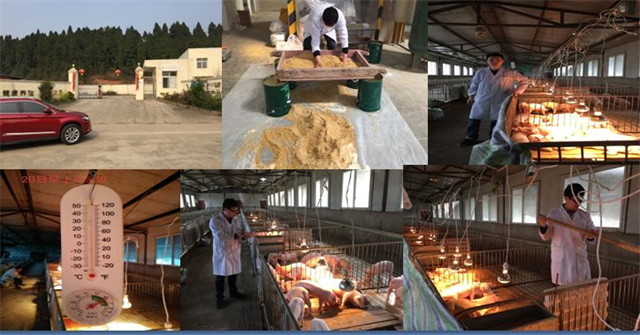 ���ӹ�����ҳ����������к��������