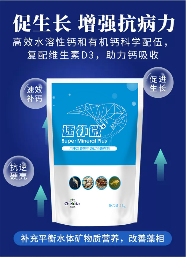 ���ӹ�����ҳ�ٲ�΢+