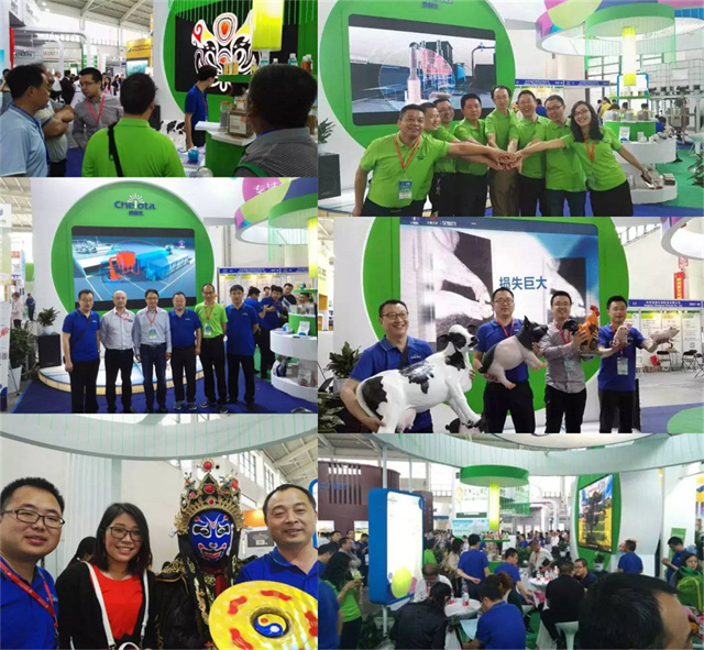 ���ӹ�����ҳ��չ�й�����������