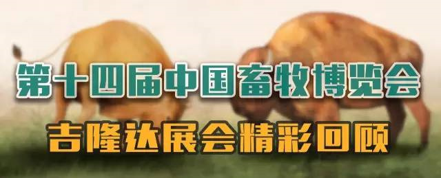 ���ӹ�����ҳ��չ�й�����������