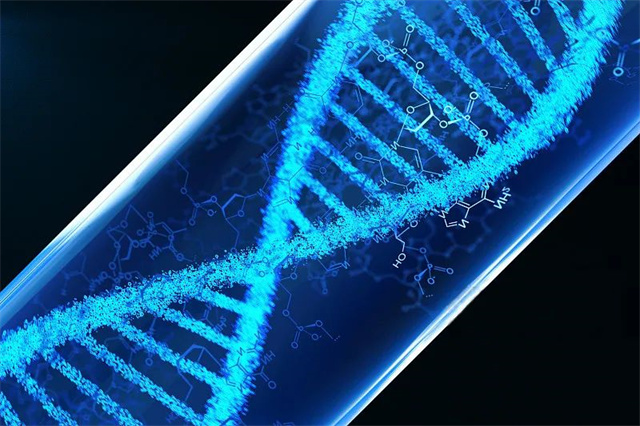 �������Ӽ�