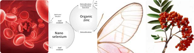 ���ӹ�����ҳ����Ѫ