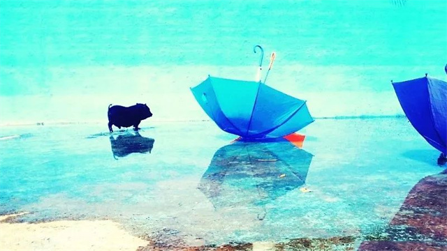 ��������