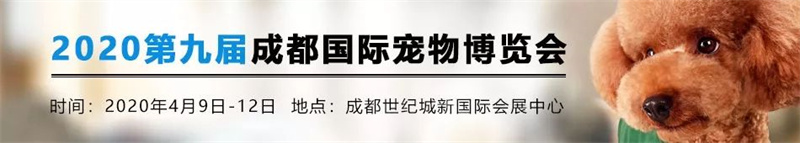 2020������ҵչ����