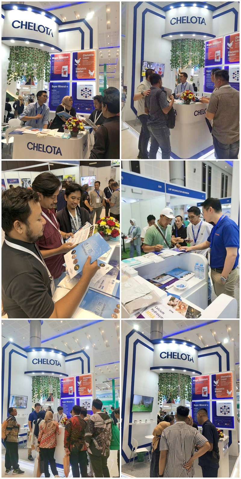 ӡ������չ�������ӹ�����ҳչλ���