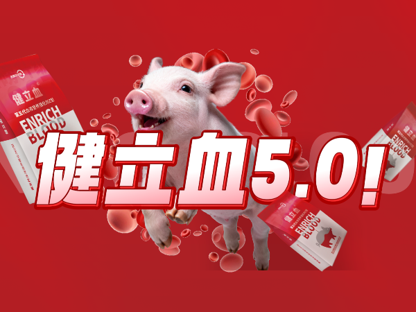 ���ӹ�����ҳ������������ͽ���Ѫ�ذ��ǳ���