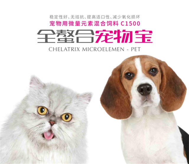 ȫ���ϳ��ﱦ