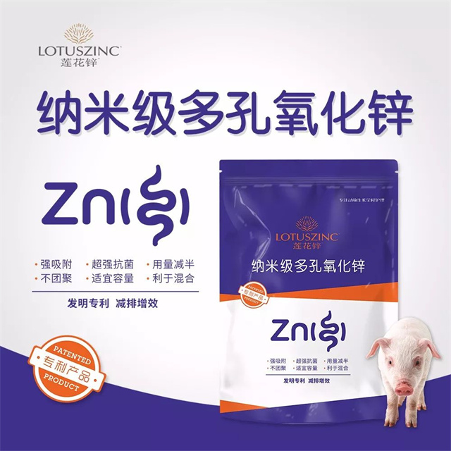 ����п-���ӹ�����ҳ����п