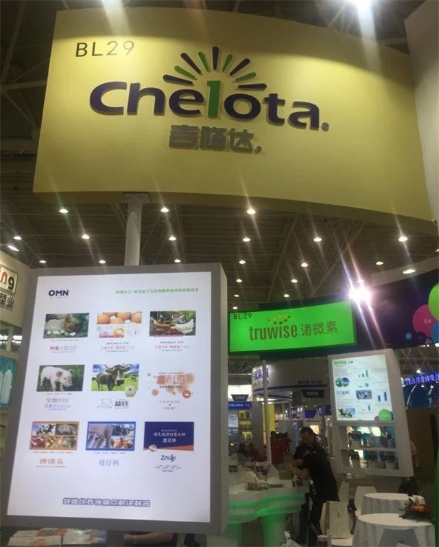 Ð󲩻áÒøºÓ¹ÙÍøÊ×Ò³Õ¹Çø Ð󲩻áÒøºÓ¹ÙÍøÊ×Ò³Õ¹Çø