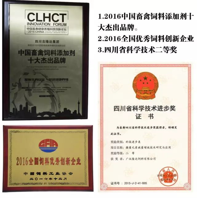 ���ӹ�����ҳ�������Ӽ�