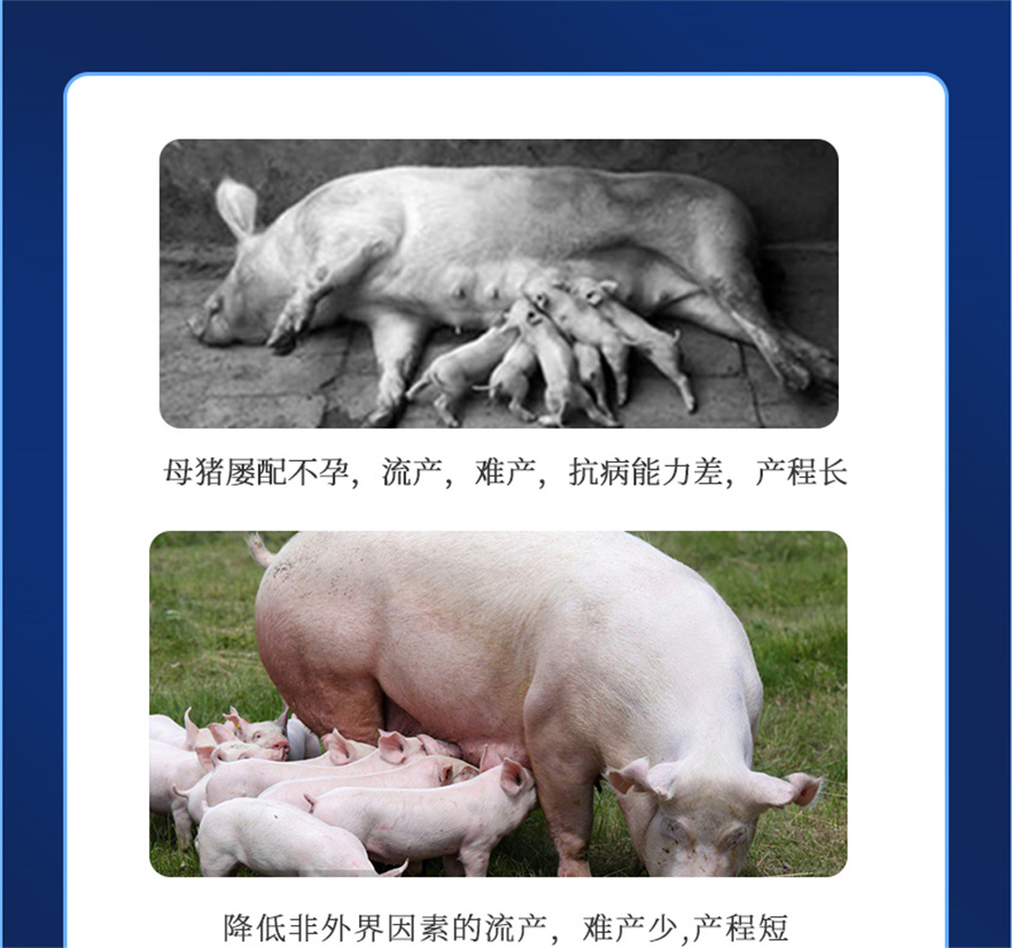 ���ӹ�����ҳ�������������Ӽ�����Ѫ��Ʒ����