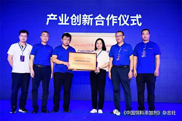 ���ӹ�����ҳ�о�Ժ������ʽ