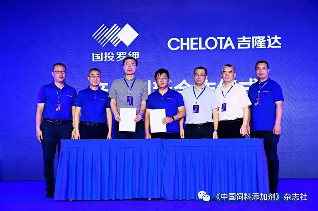 ���ӹ�����ҳ�о�Ժ������ʽ