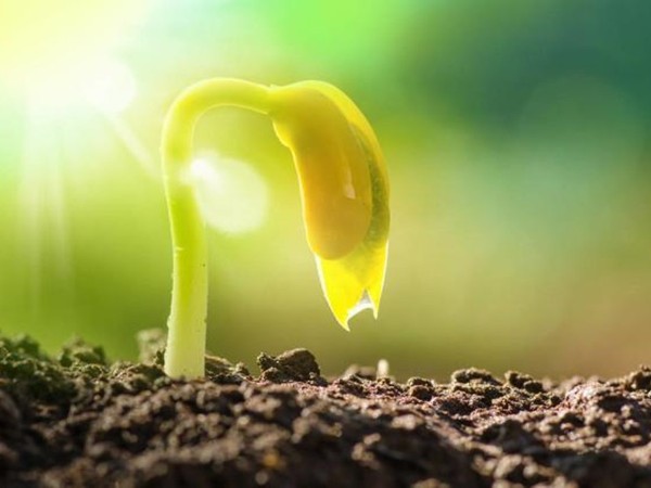 ���ӹ�����ҳ