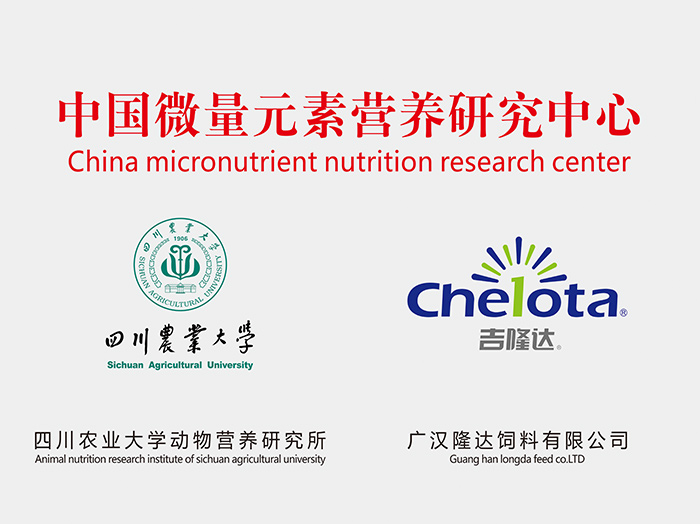 ���ӹ�����ҳ