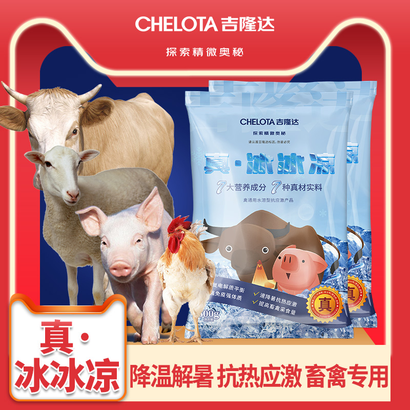 ���ӹ�����ҳ����������