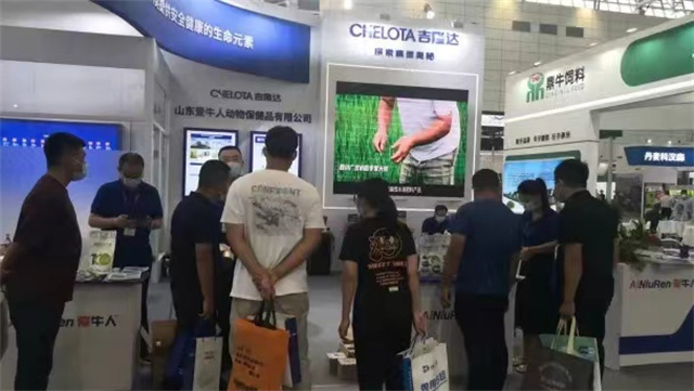 ���ӹ�����ҳ��չ��ʮ�����й���ҵ���