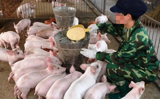 ����Ч�����ô��