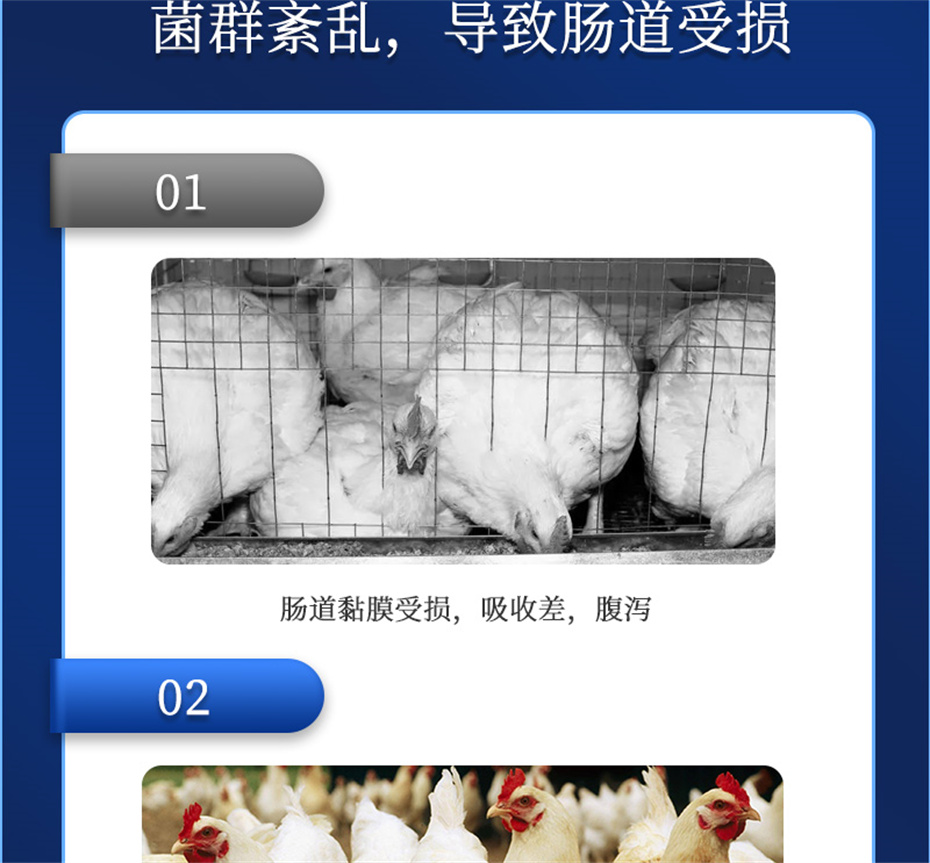 ���ӹ�����ҳ�����������Ӽ�����Ԫ��Ʒ����