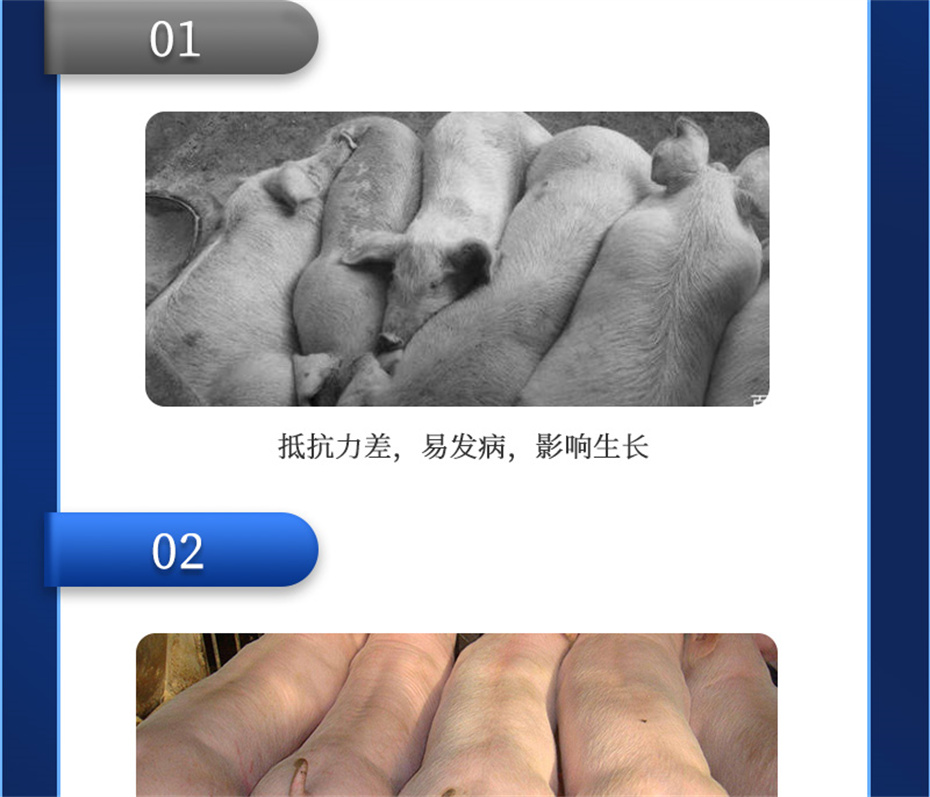 ���ӹ�����ҳ�����������Ӽ�����Ԫ��Ʒ����