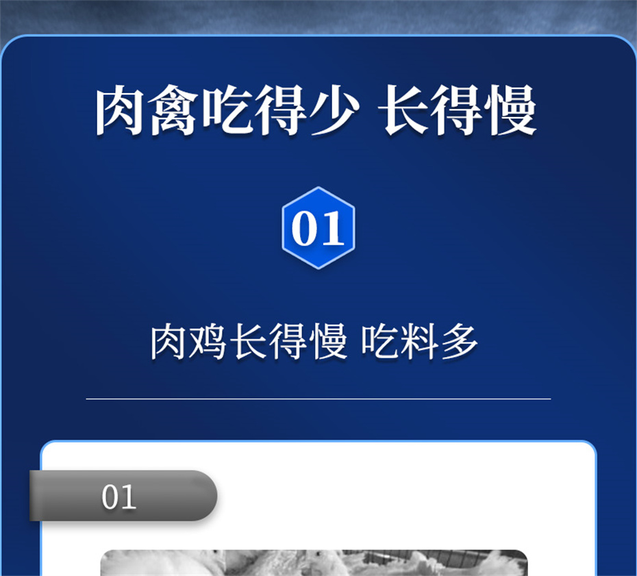 ���ӹ�����ҳ�������������Ӽ������ز�Ʒ����