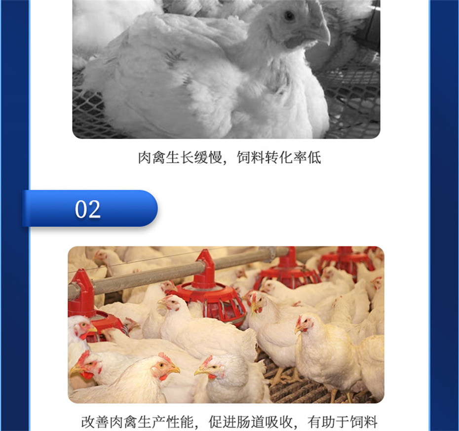 ���ӹ�����ҳ�������������Ӽ������ز�Ʒ����